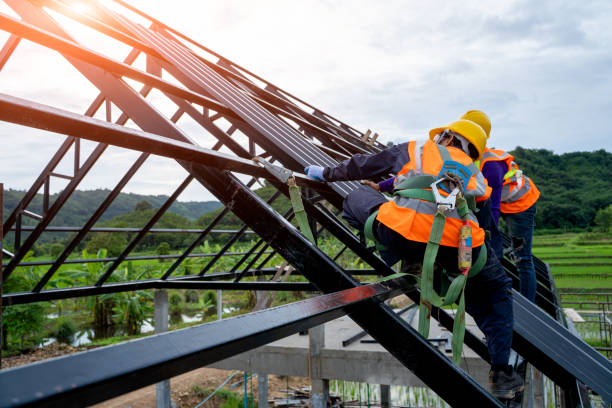 Best Metal Roofing Contractor  in Sevierville, TN
