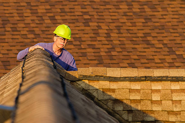 Roof Gutter Cleaning in Sevierville, TN